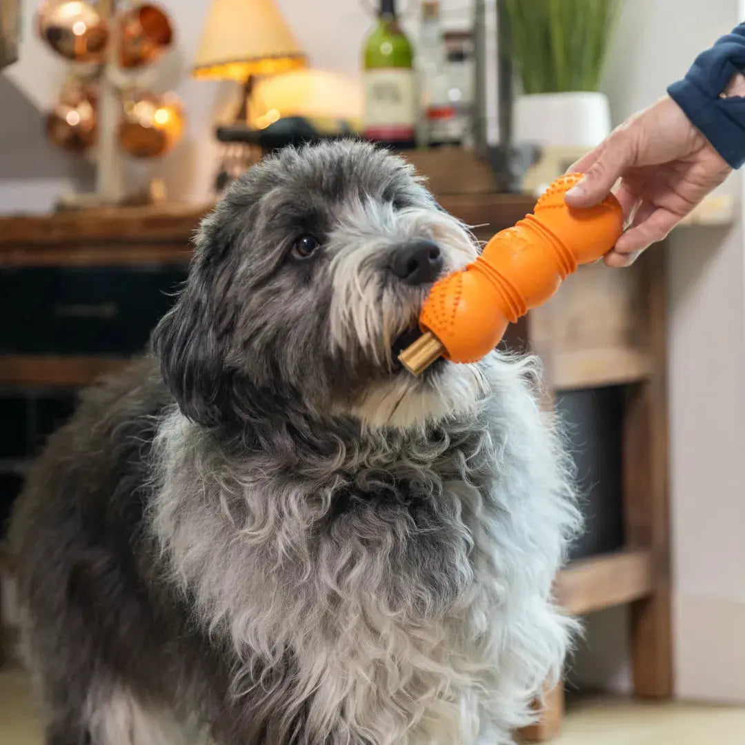 West Paw Flossr™ Dental Chew Toy & Treat Holder