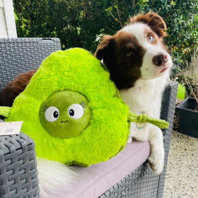 Smashy the Avocado - Plush Dog Toy - 100% recycled material