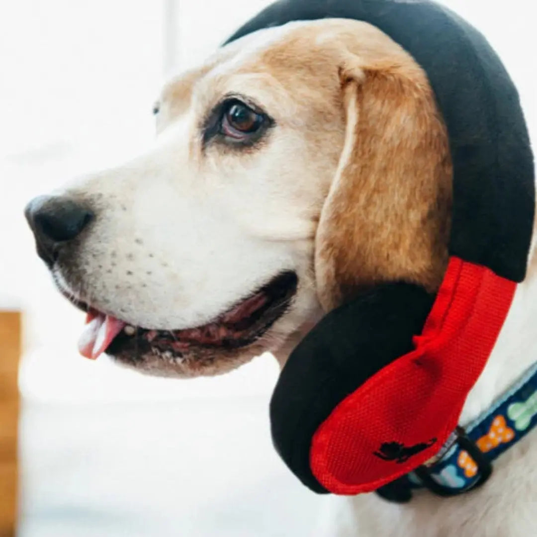 P.L.A.Y. Globetrotter – Headphone P.L.A.Y