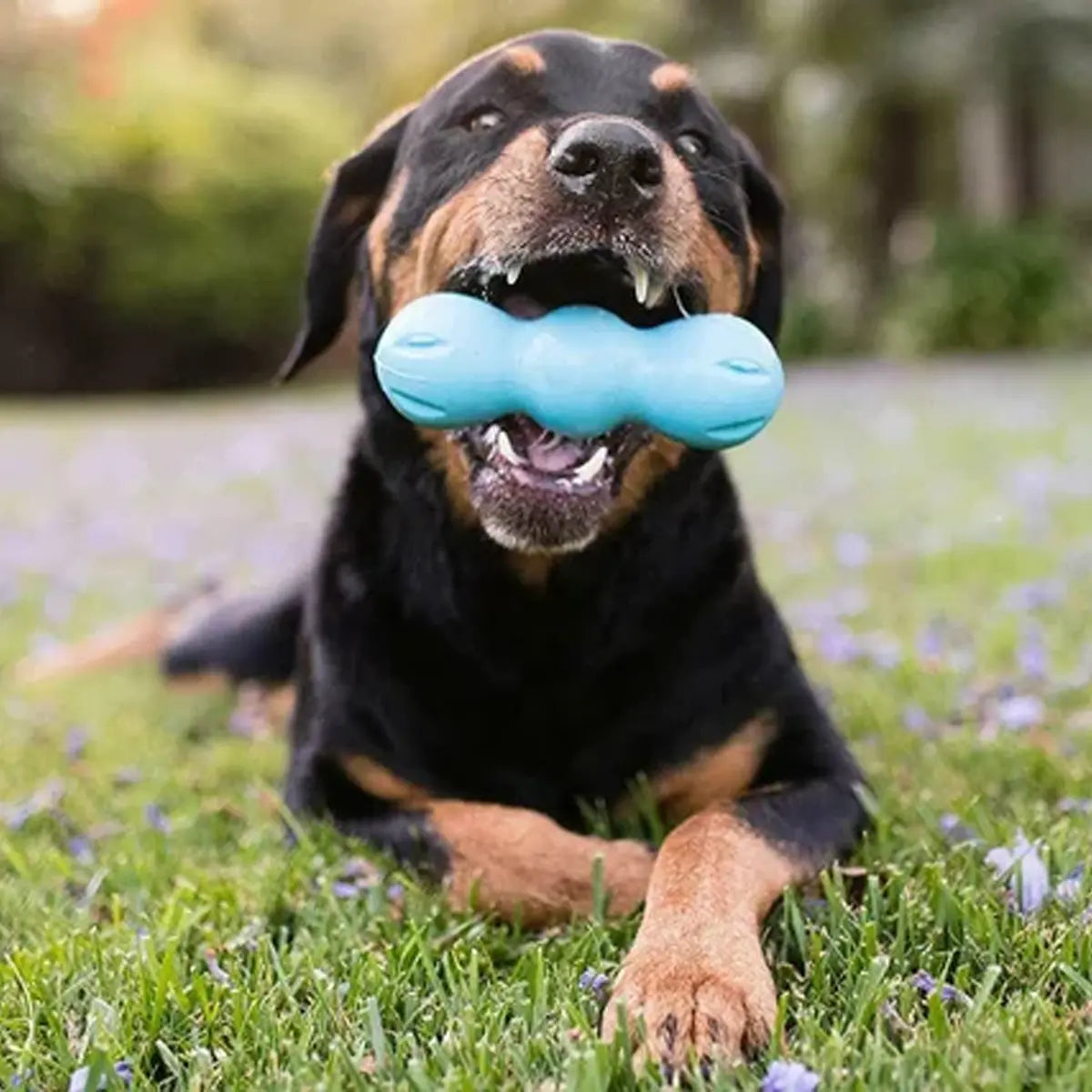 West Paw Rumpus Dog Toy – Tough Chew & Fetch Toy for Strong Dogs West Paw