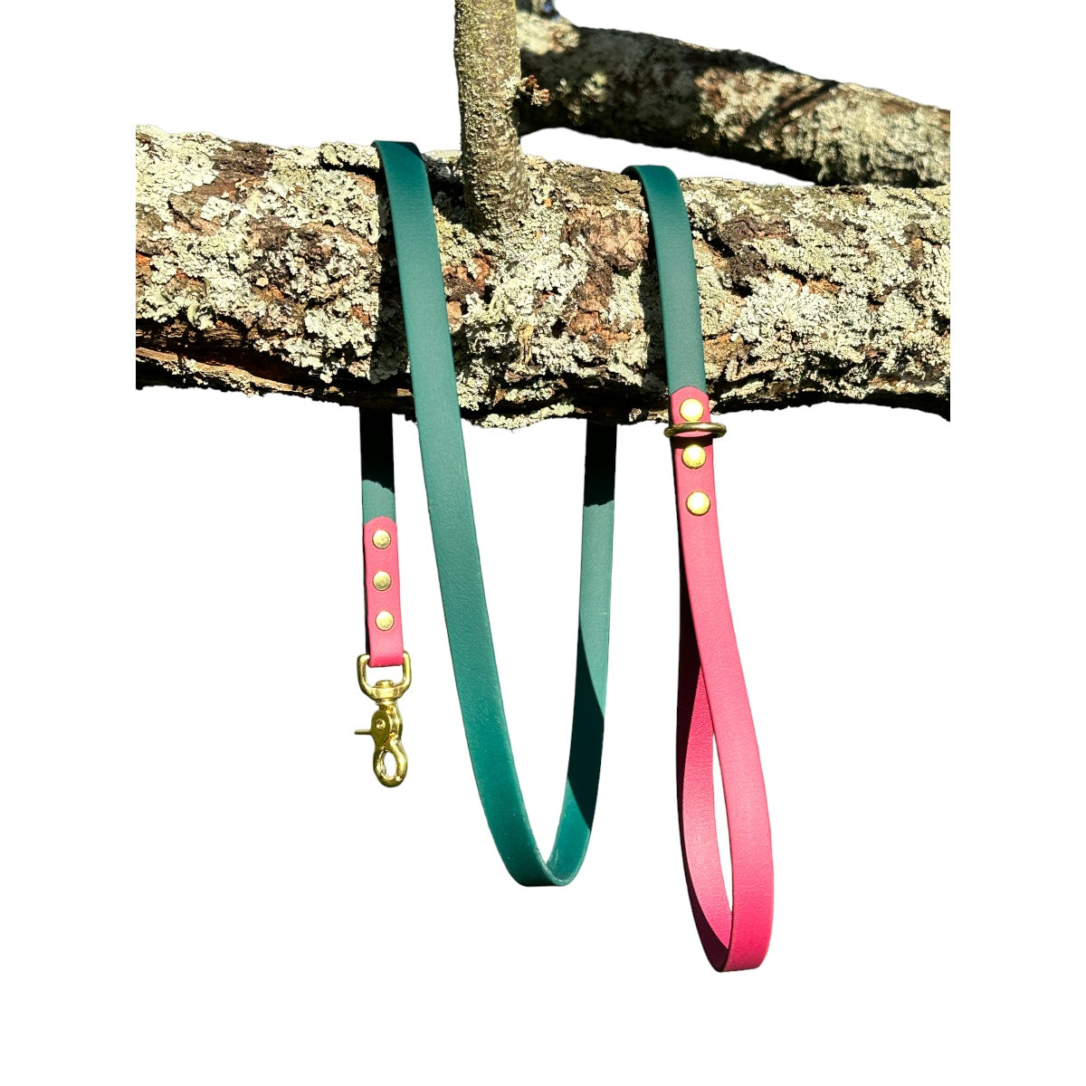 Biothane Walking Lead Two Tone