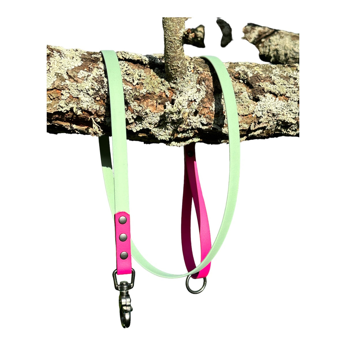 Biothane Walking Lead Two Tone