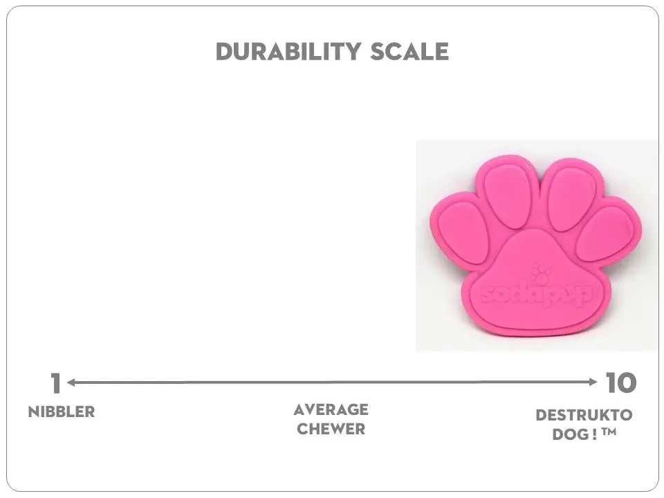 Sodapup Nylon Paw (Pink) Sodapup