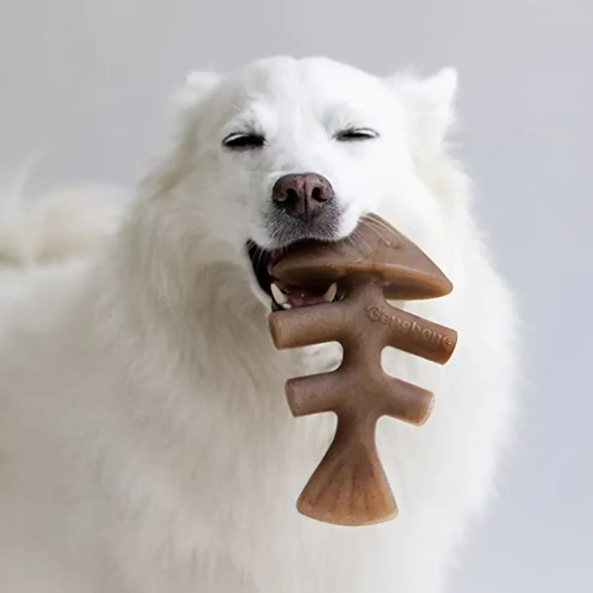 Benebone Jack Salmon Dog Chew Toy