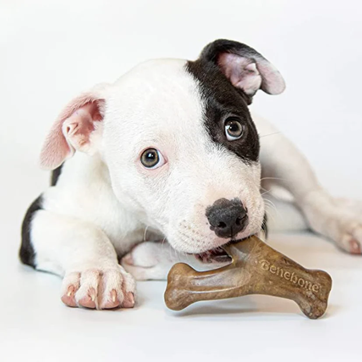 Benebone Puppy Bacon Chews