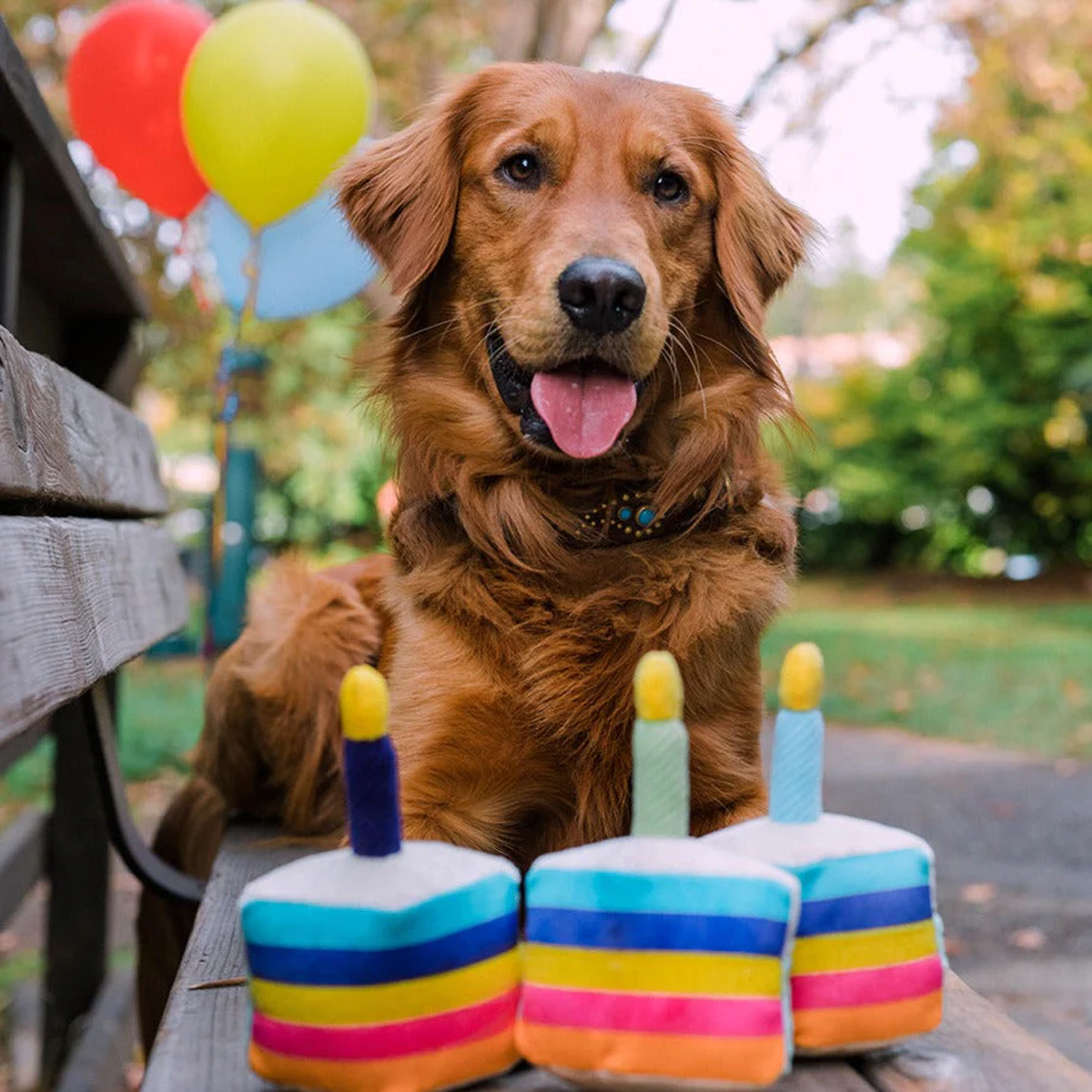 P.L.A.Y Party Time - Bone-Appetite Cake
