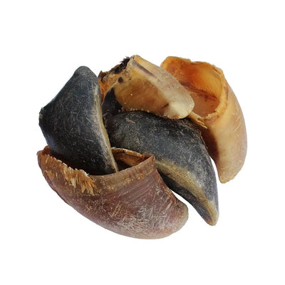Cow Hoof — 100% Natural Long-Lasting Dog Chew Whinny and Co