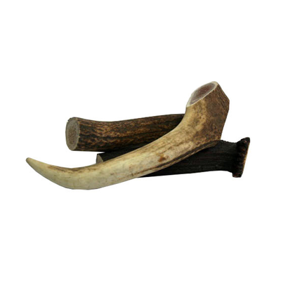 Deer Antler