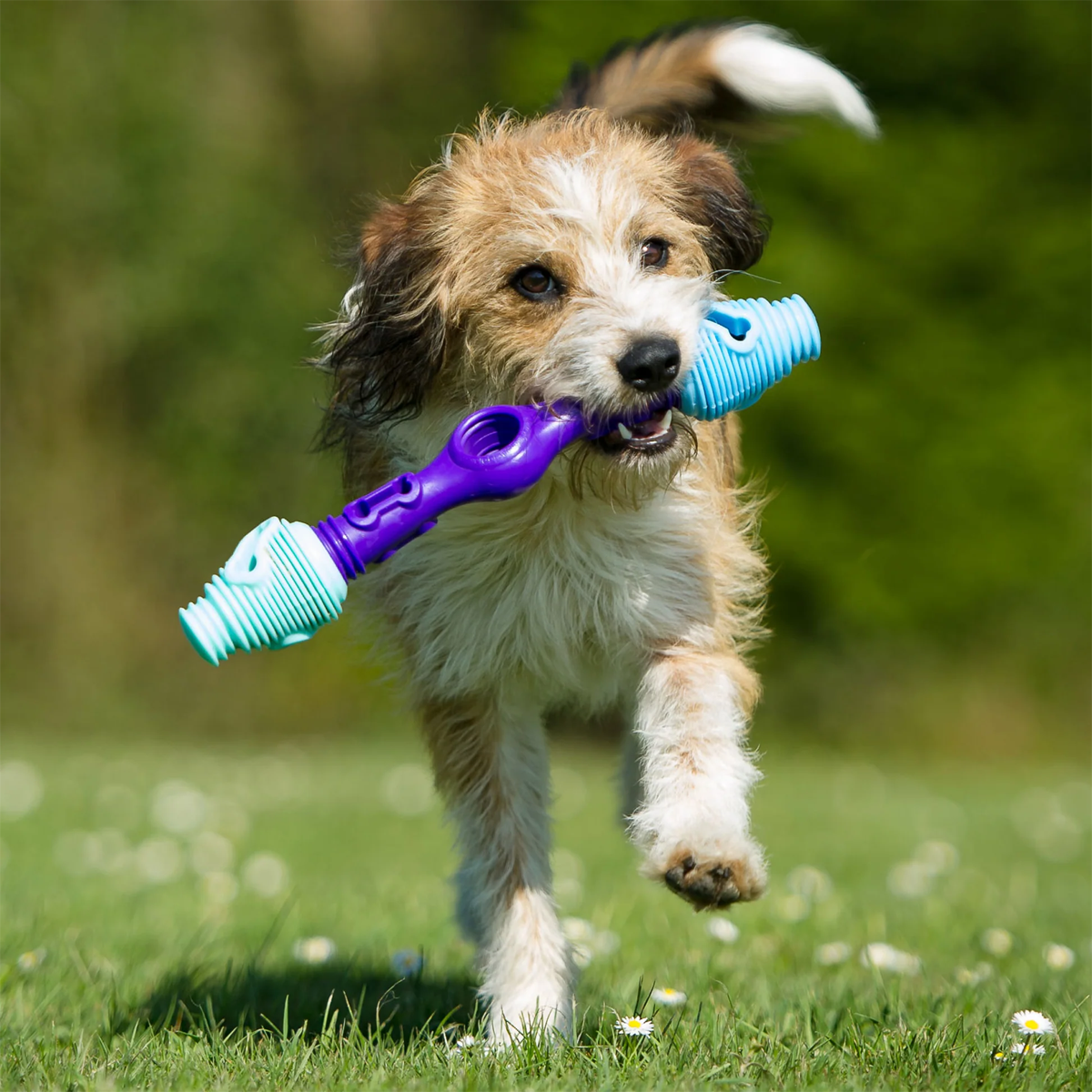 K9 Connectables Tech Bone - Gentle Dog Toys