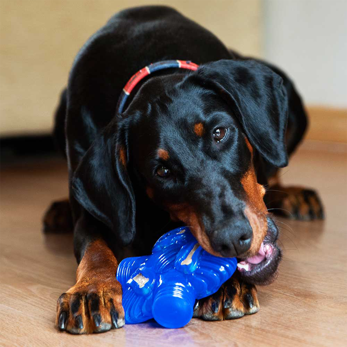 K9 Connectables Brain Teaser - Pro Dog Toys