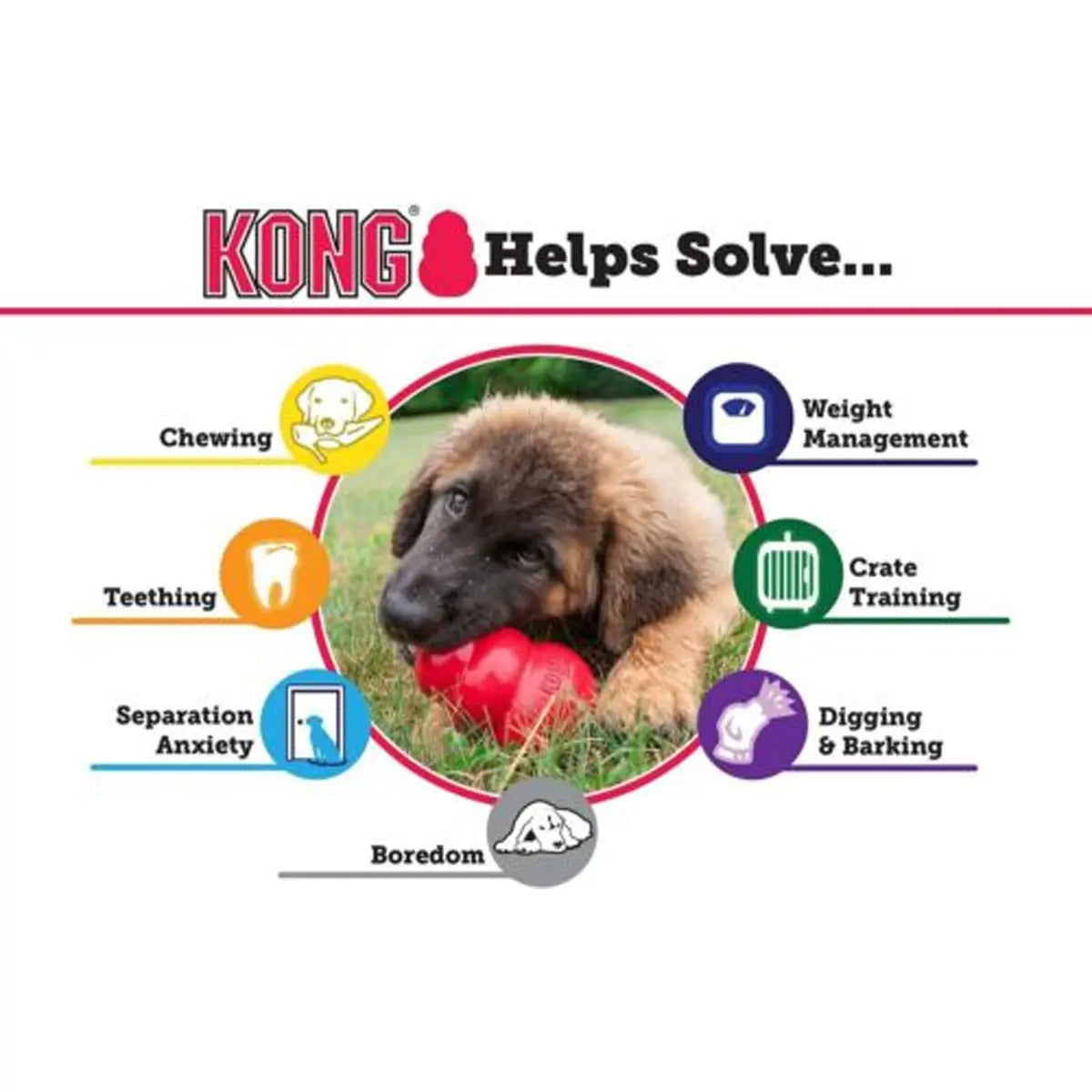 KONG Extreme — Ultimate Heavy-Duty Chew & Enrichment Toy for Powerful Chewers Kong