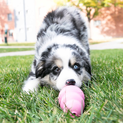 Kong Puppy Dog Toy