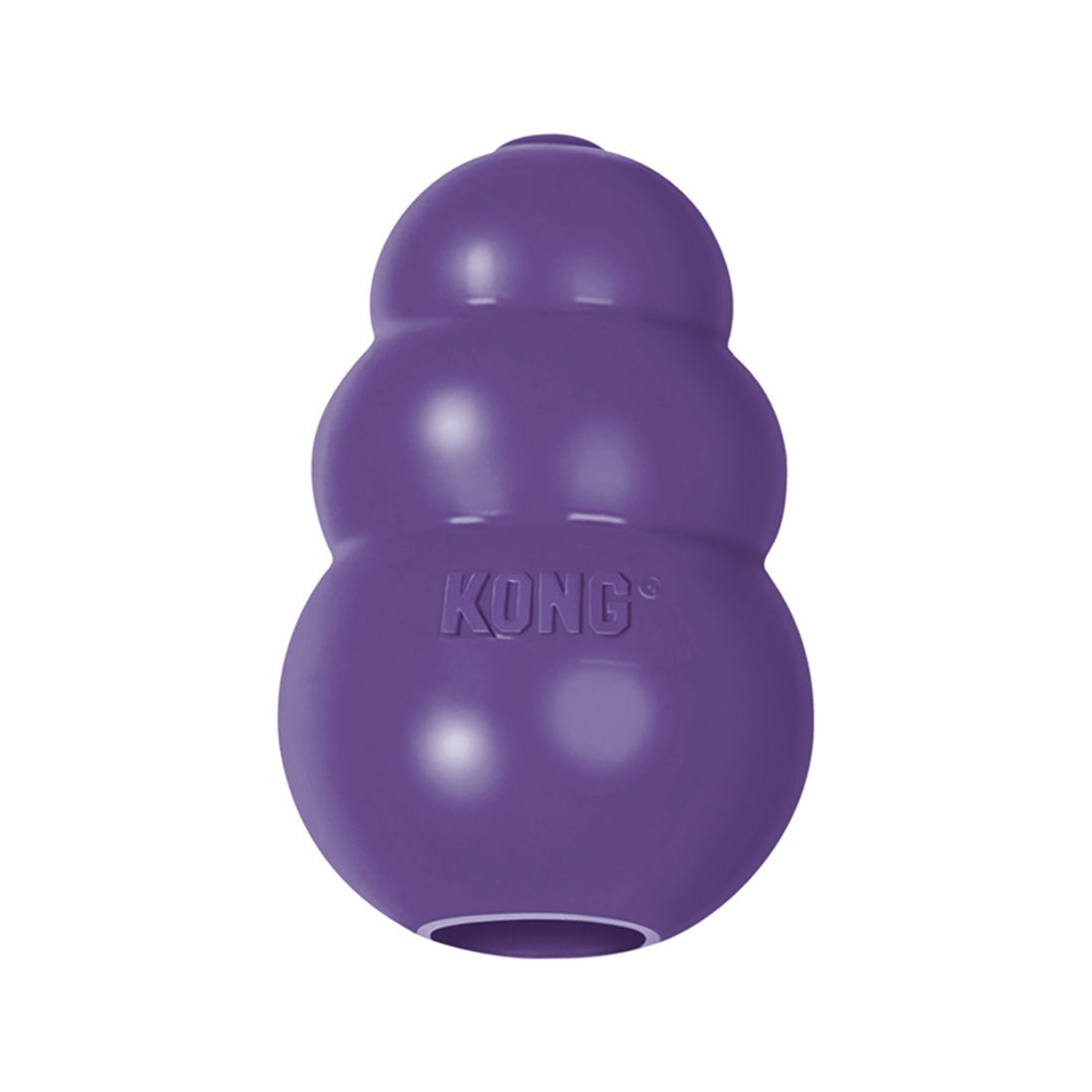 Kong Senior Dog Toy Thorncombe Pet Supplies