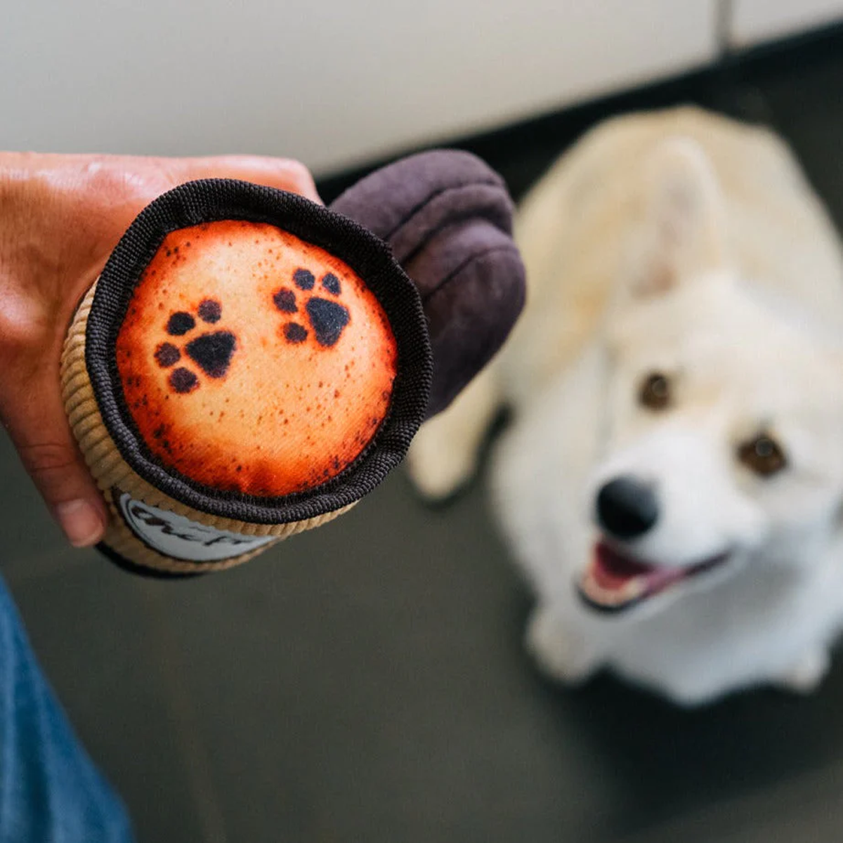 P.L.A.Y Pup Cup Cafe - Latte To Go