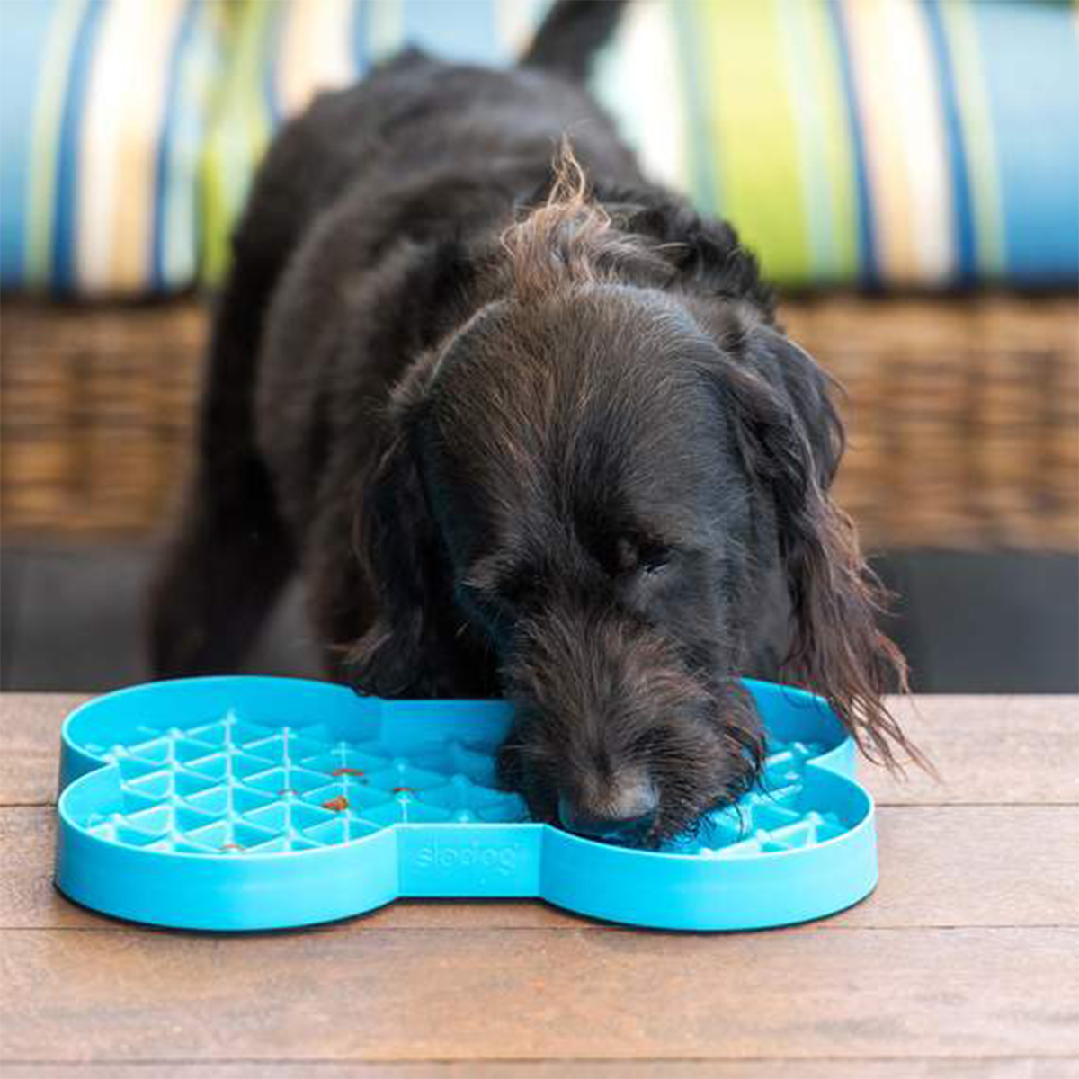 LickiMat Slodog Bowl