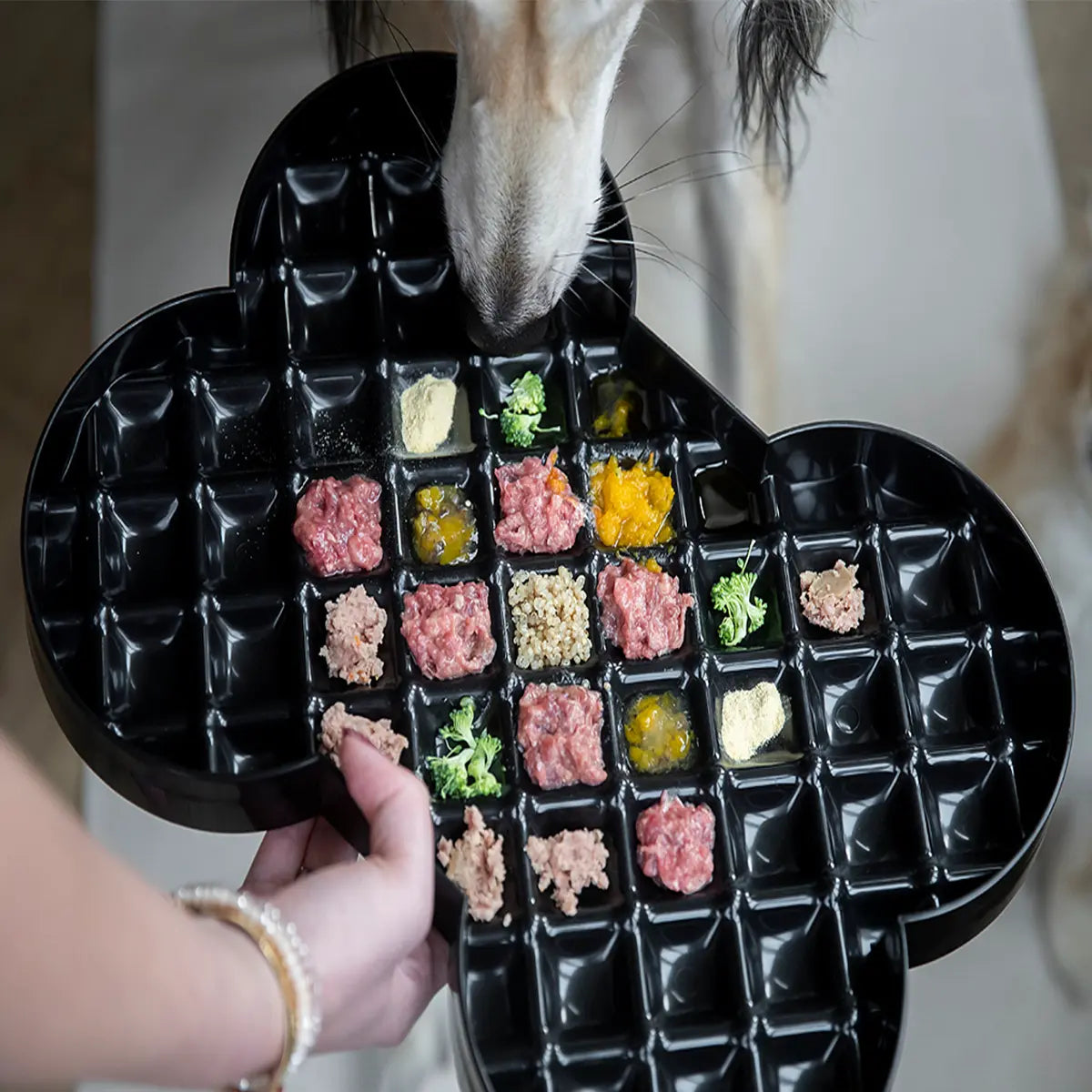 LickiMat Slodog Bowl Lickimat