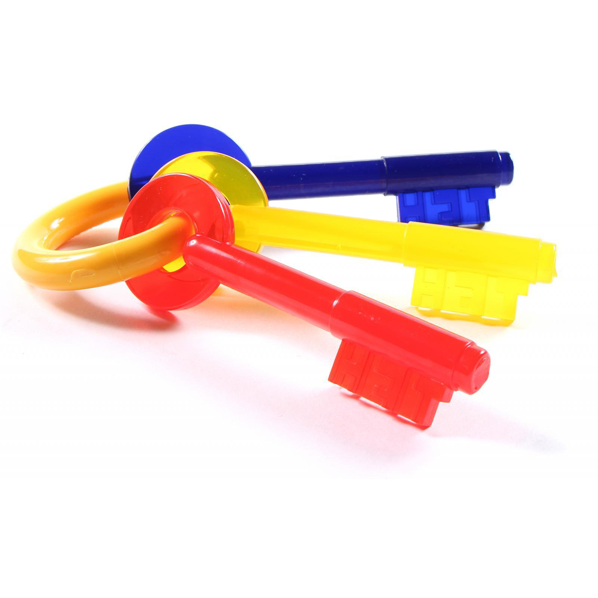 Nylabone keys large sales