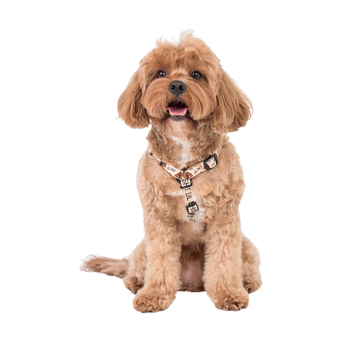 Pablo & Co Strap Harness Lil Shit 2.0
