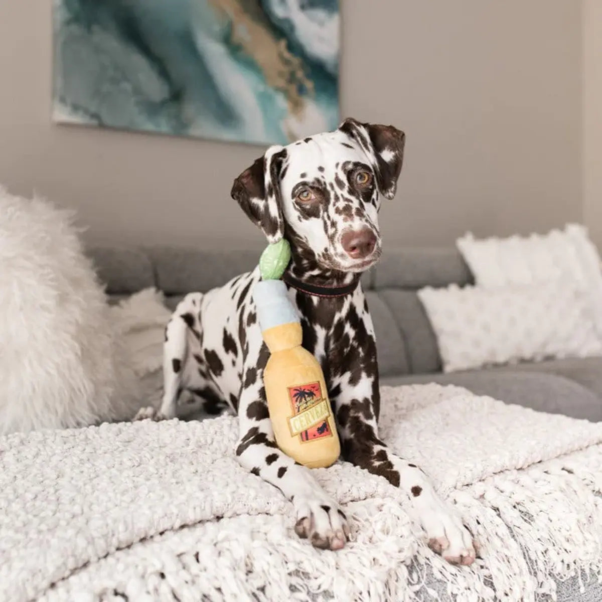P.L.A.Y Party Time - Canine Cerveza P.L.A.Y