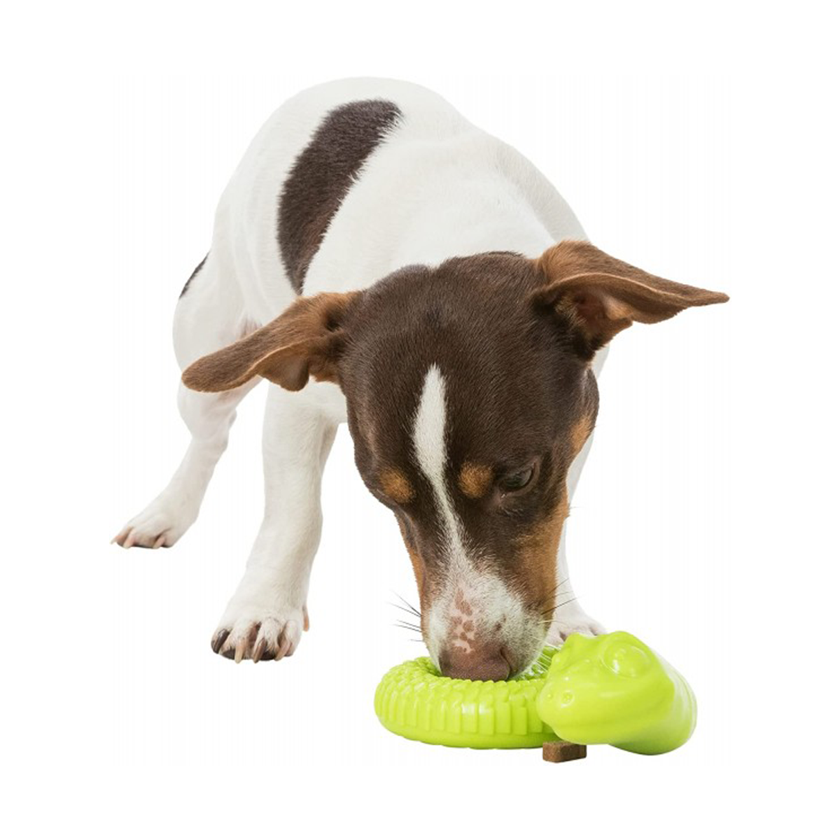 Trixie Coiled Snack Snake 18 cm — Treat-Dispensing Puzzle Toy for Dogs Trixie