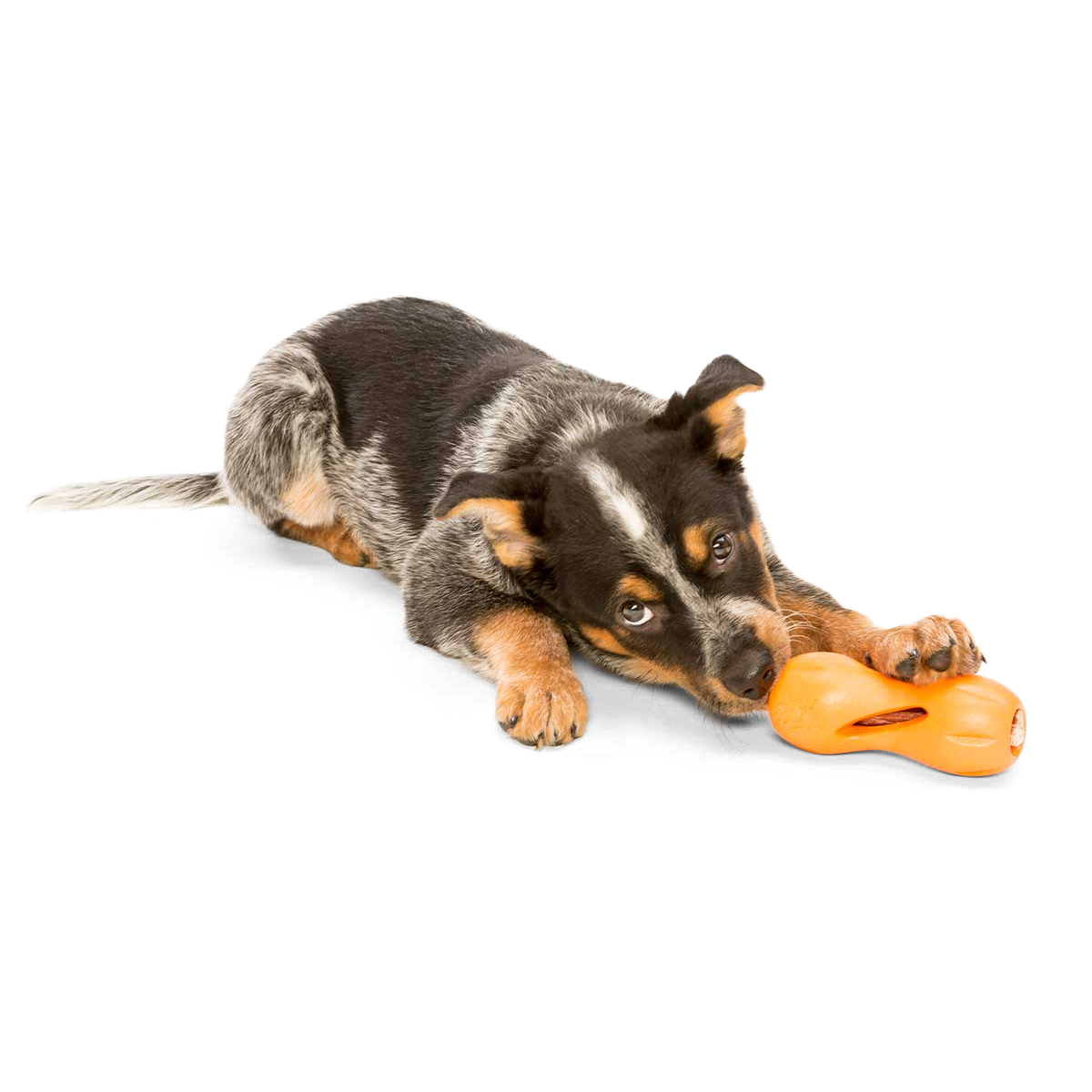 West Paw Qwizl Puzzle & Chew Toy