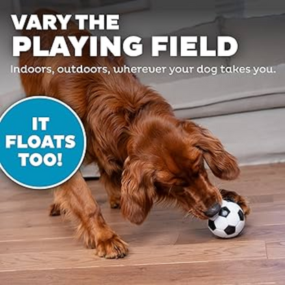Outward Hound Orbee-Tuff Soccer Ball