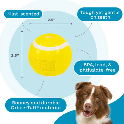 Outward Hound Orbee-Tuff Tennis Ball