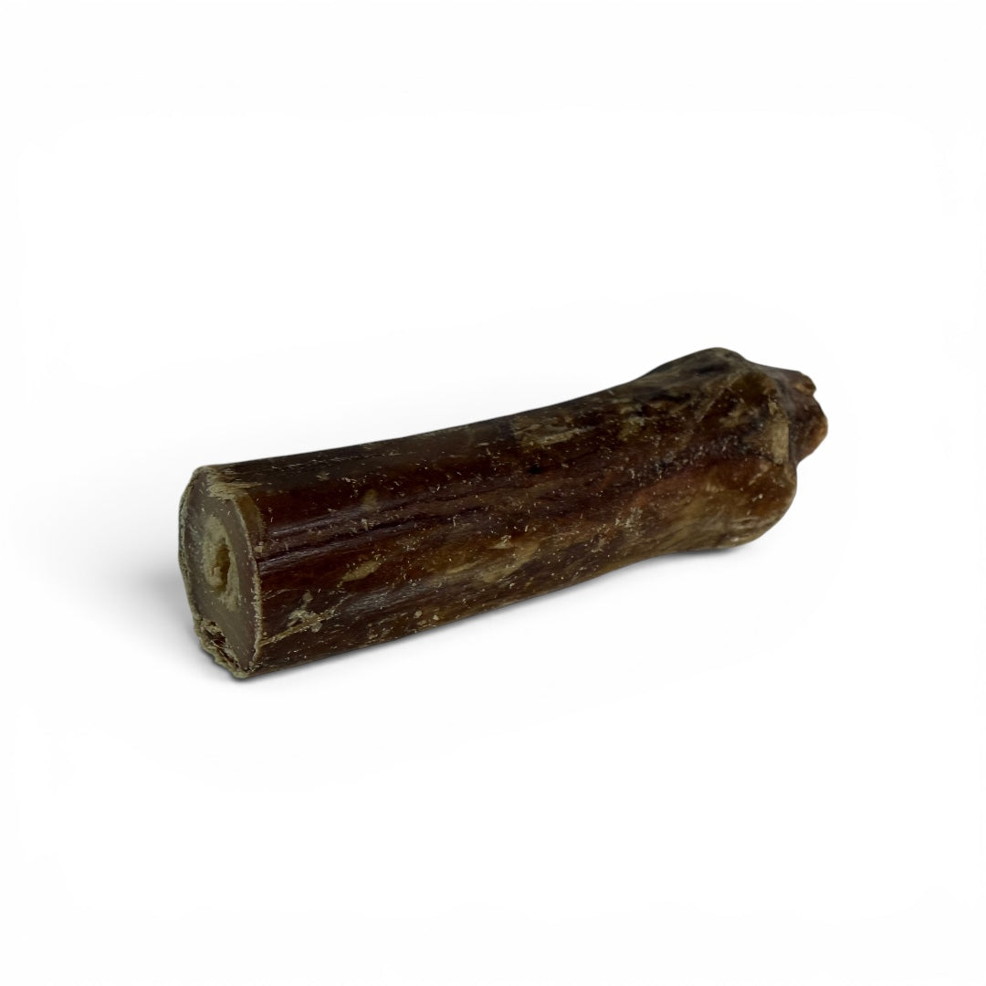 Busy Bone Half – Air-Dried NZ Venison Shank Chew for Dogs