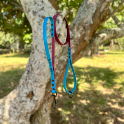 Biothane 1.2m Walking Leash with Built in Traffic handle- Lagune & Wine