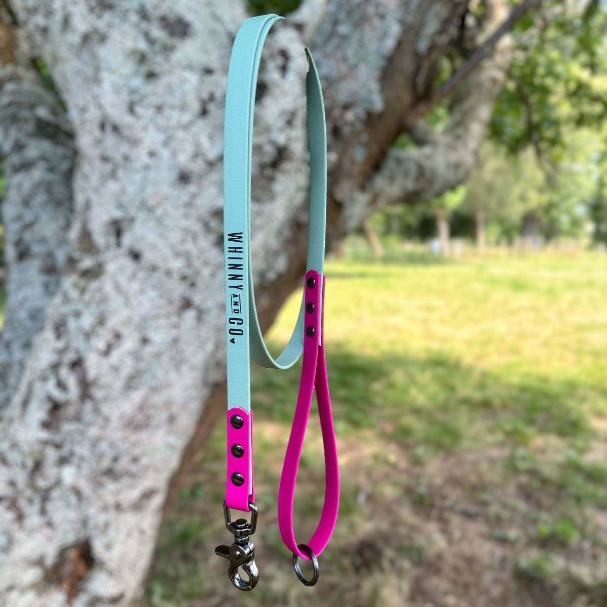 Biothane 1.5m Walking Leash - Sage & Magenta