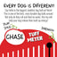 Jolly Pets Push-N-Play — Big, Durable Chase & Water Toy for Dogs Jolly Pets