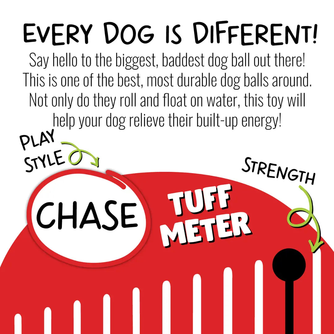 Jolly Pets Push-N-Play — Big, Durable Chase & Water Toy for Dogs Jolly Pets