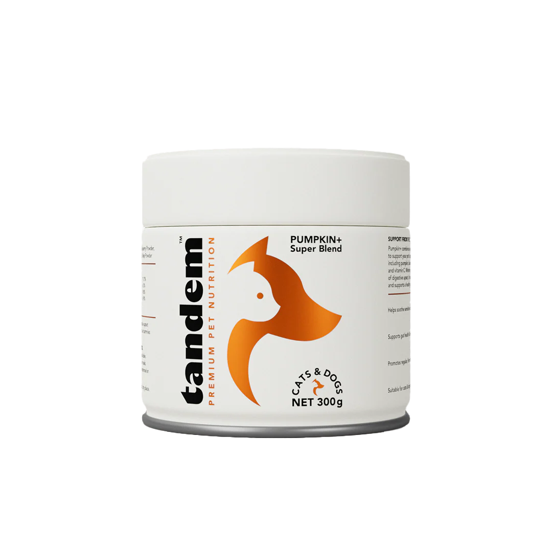 Tandem Pumpkin+ Super Blend – Digestive Health You Can Trust