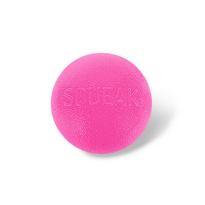 Outward Hound Orbee-Tuff Squeak Ball