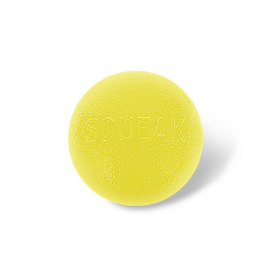 Outward Hound Orbee-Tuff Squeak Ball