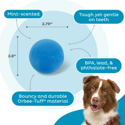 Outward Hound Orbee-Tuff Squeak Ball
