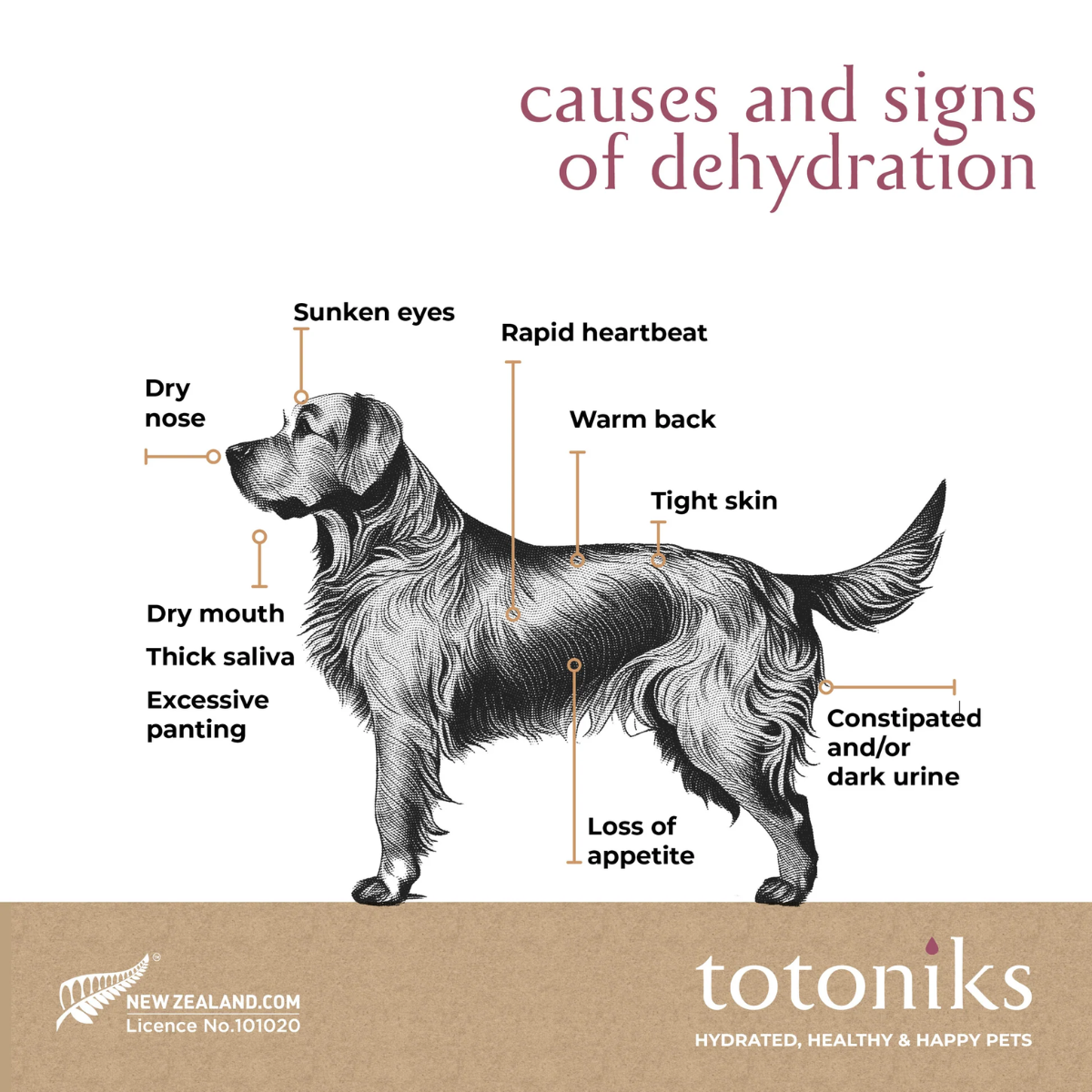 Totoniks - Performance & Hydration - Large Dog 15kgs