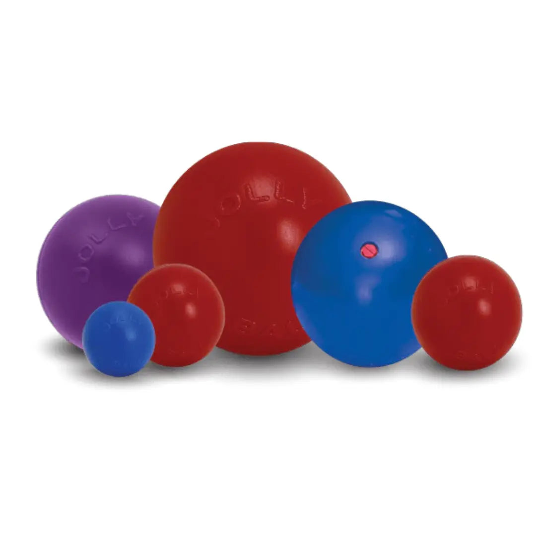 Jolly Pets Push-N-Play — Big, Durable Chase & Water Toy for Dogs Jolly Pets