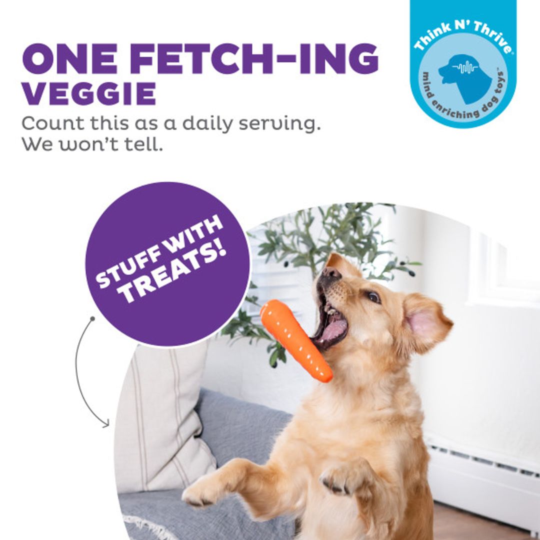 Outward Hound Carrot