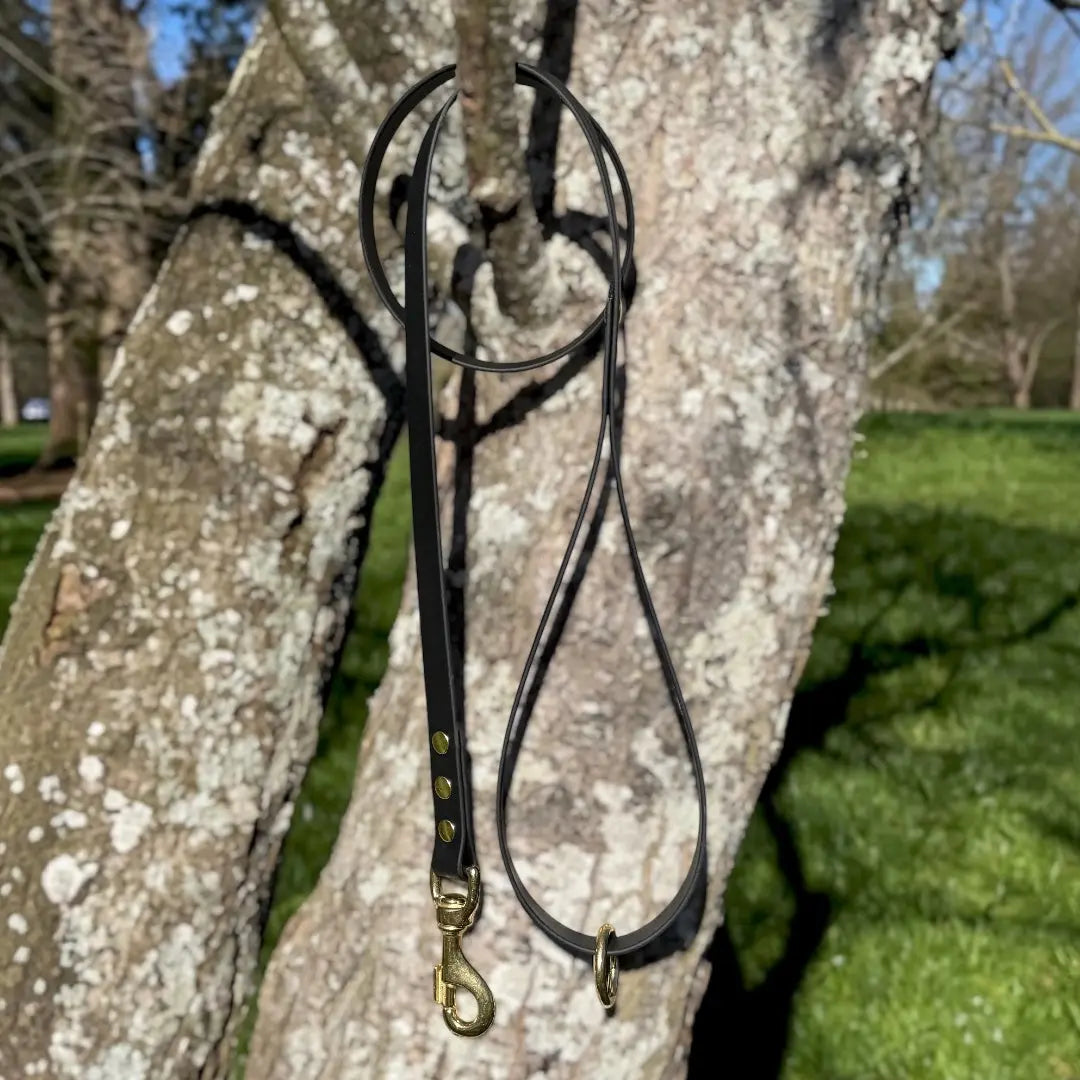 BioThane® 1.25m Walking Lead — Black & Brass | Heavy-Duty 19mm Whinny and Co