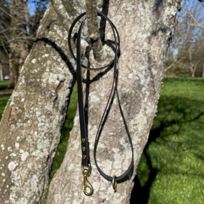 BioThane® 1.25m Walking Lead — Black & Brass | Heavy-Duty 19mm Whinny and Co