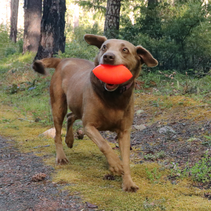 RuffDawg Football