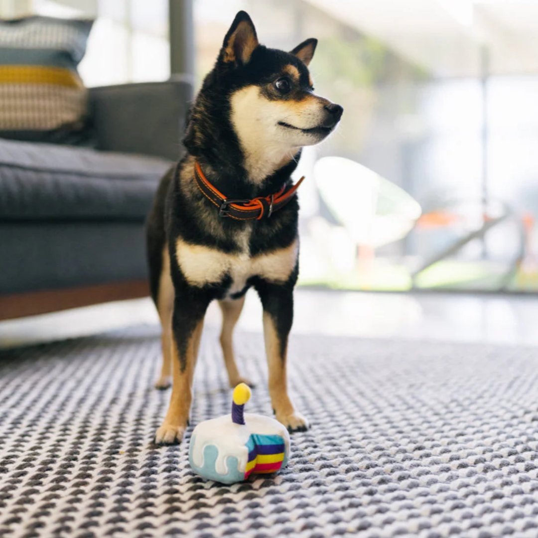 P.L.A.Y. Party Time – Bone-Appetite Cake Dog Toy (Mini Size)