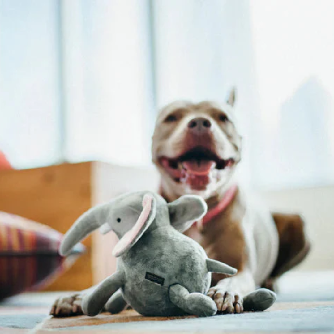 P.L.A.Y. Africa Big Five – Elephant Dog Toy