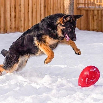 Jolly Pets Jolly Egg