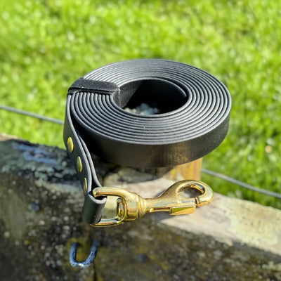 BioThane® 3m Long Line — No Handle | 19mm Black & Brass Thorncombe Pet Supplies