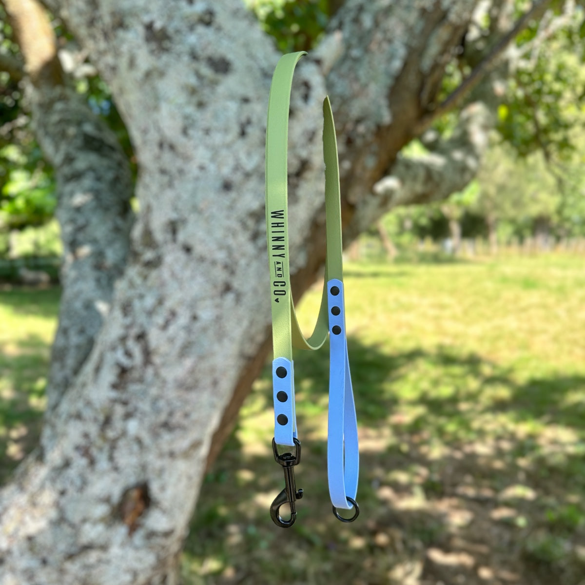 Biothane 1.5m Walking Leash - Holy Guacamole & Polar Blue