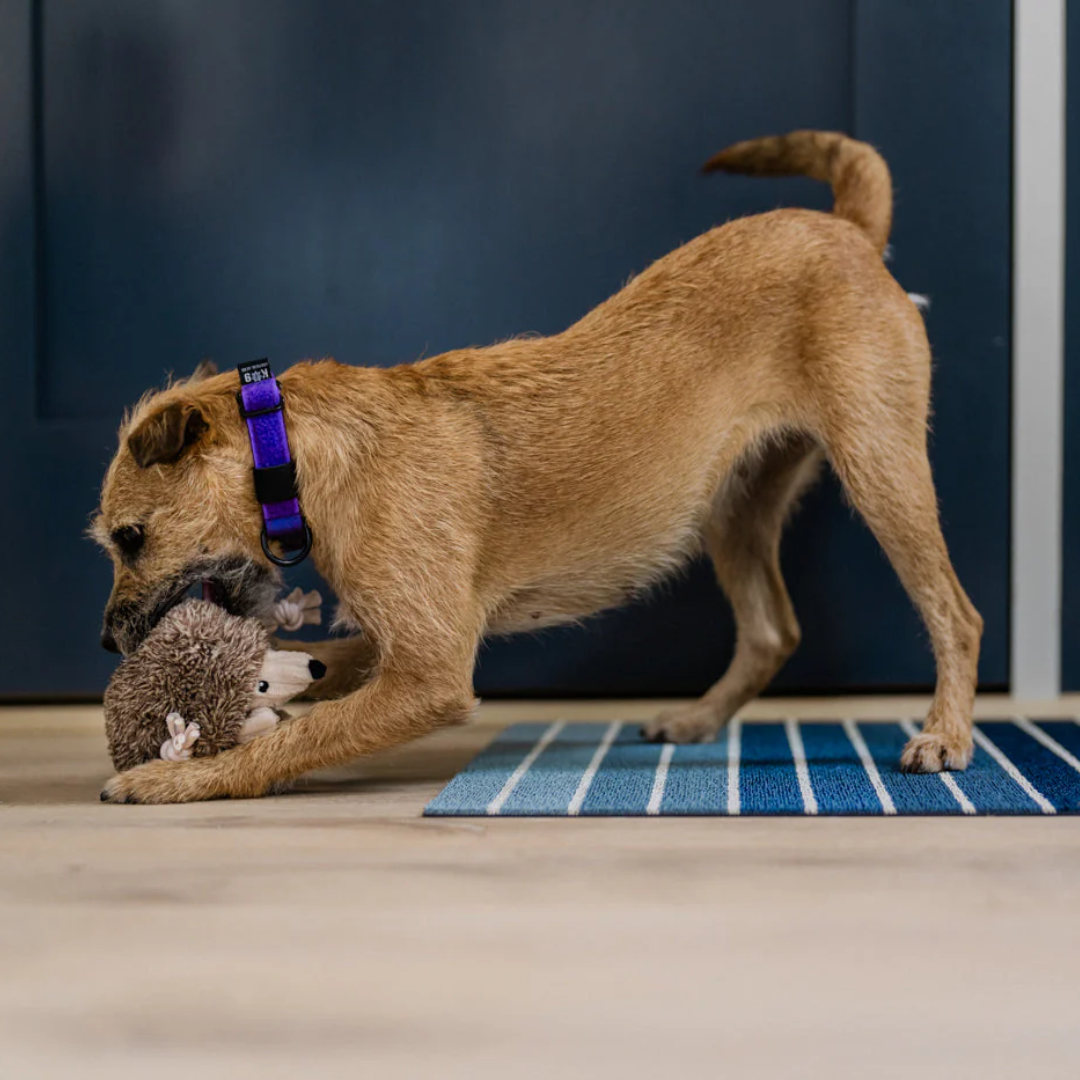 P.L.A.Y. Forest Friends – Hamilton the Hedgehog Dog Toy