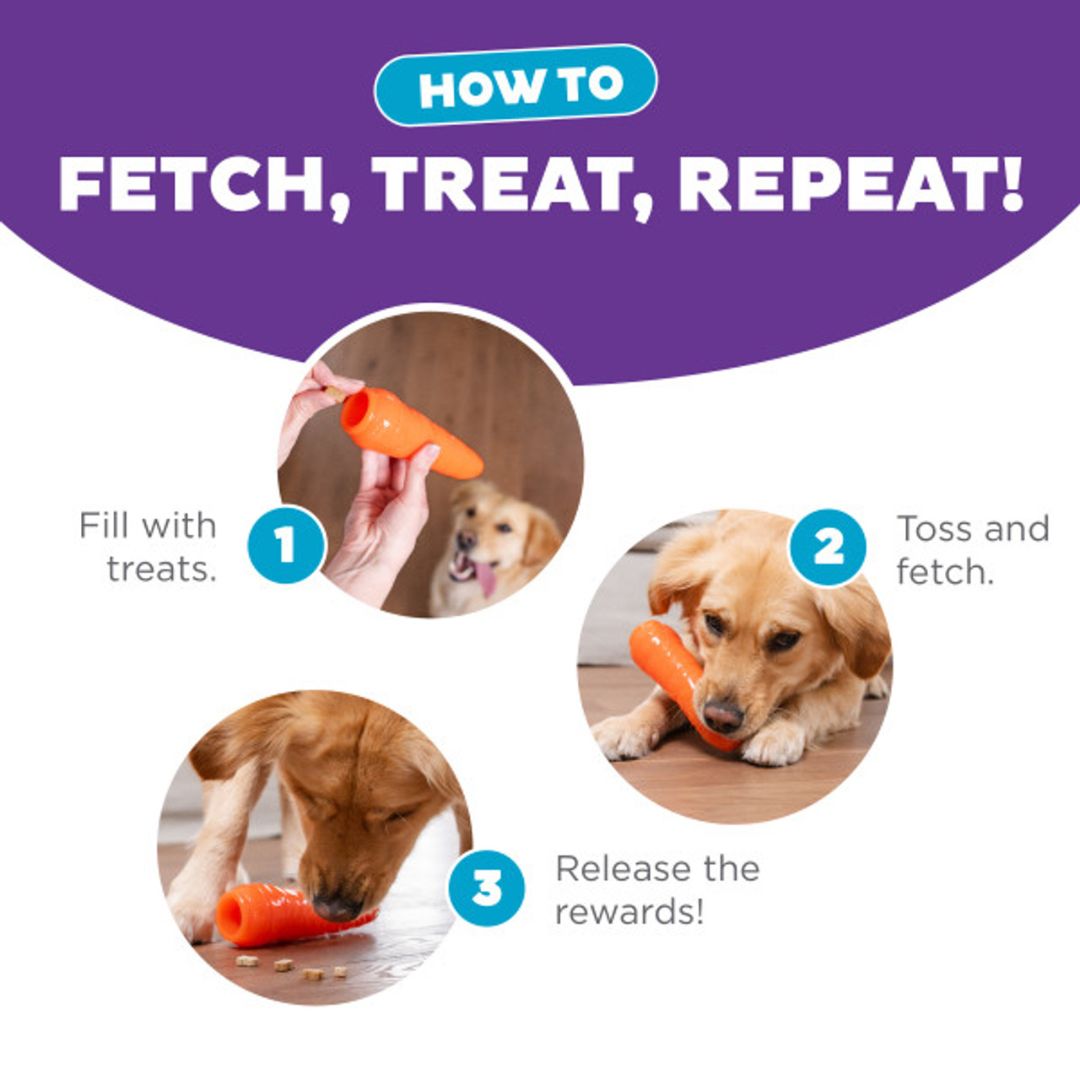 Outward Hound Carrot