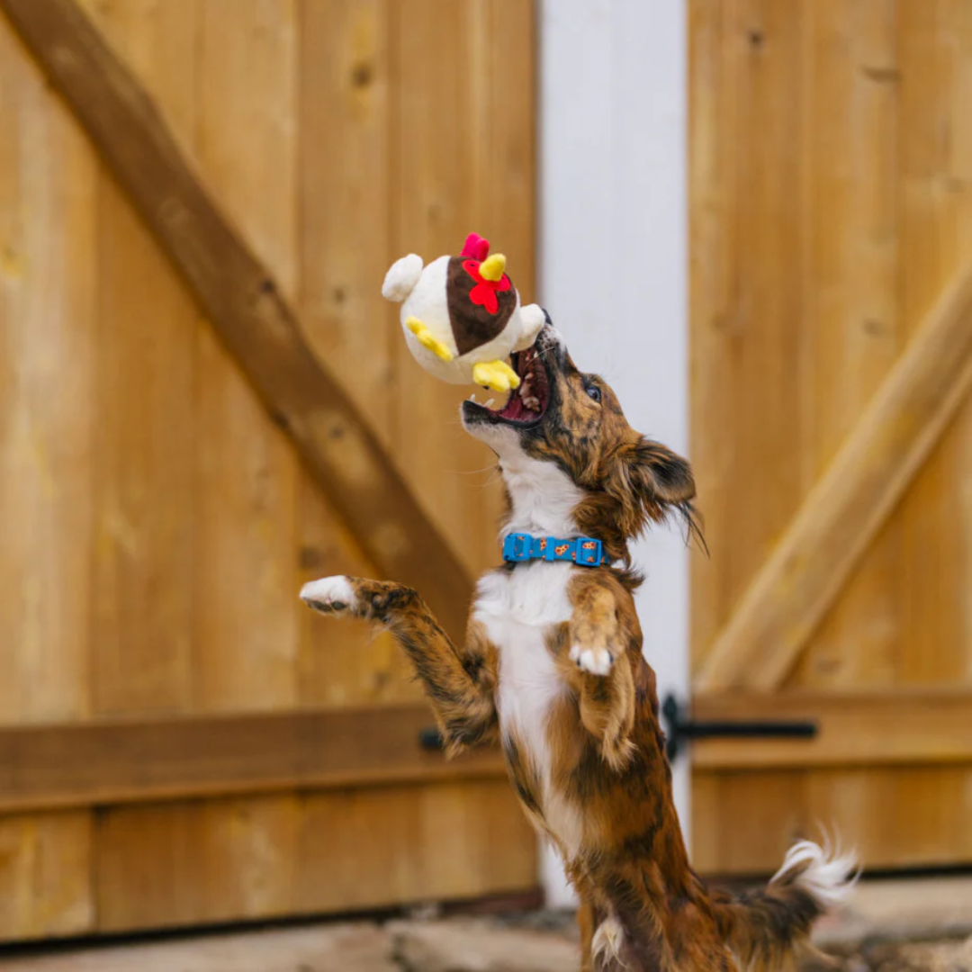 P.L.A.Y Barnyard Buddies - Ryan the Rooster